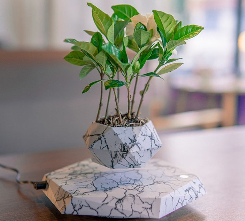 Floating Magnetic Plant Pot